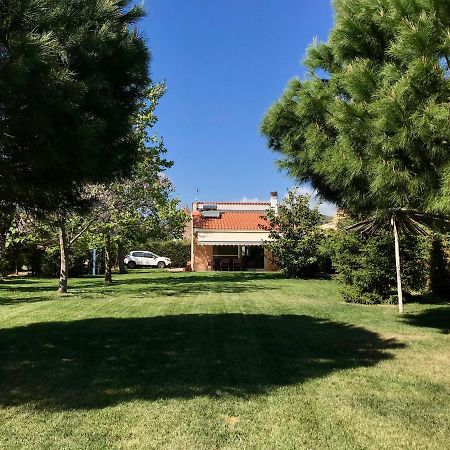 マクリPlane Tree Houseアパートメント エクステリア 写真