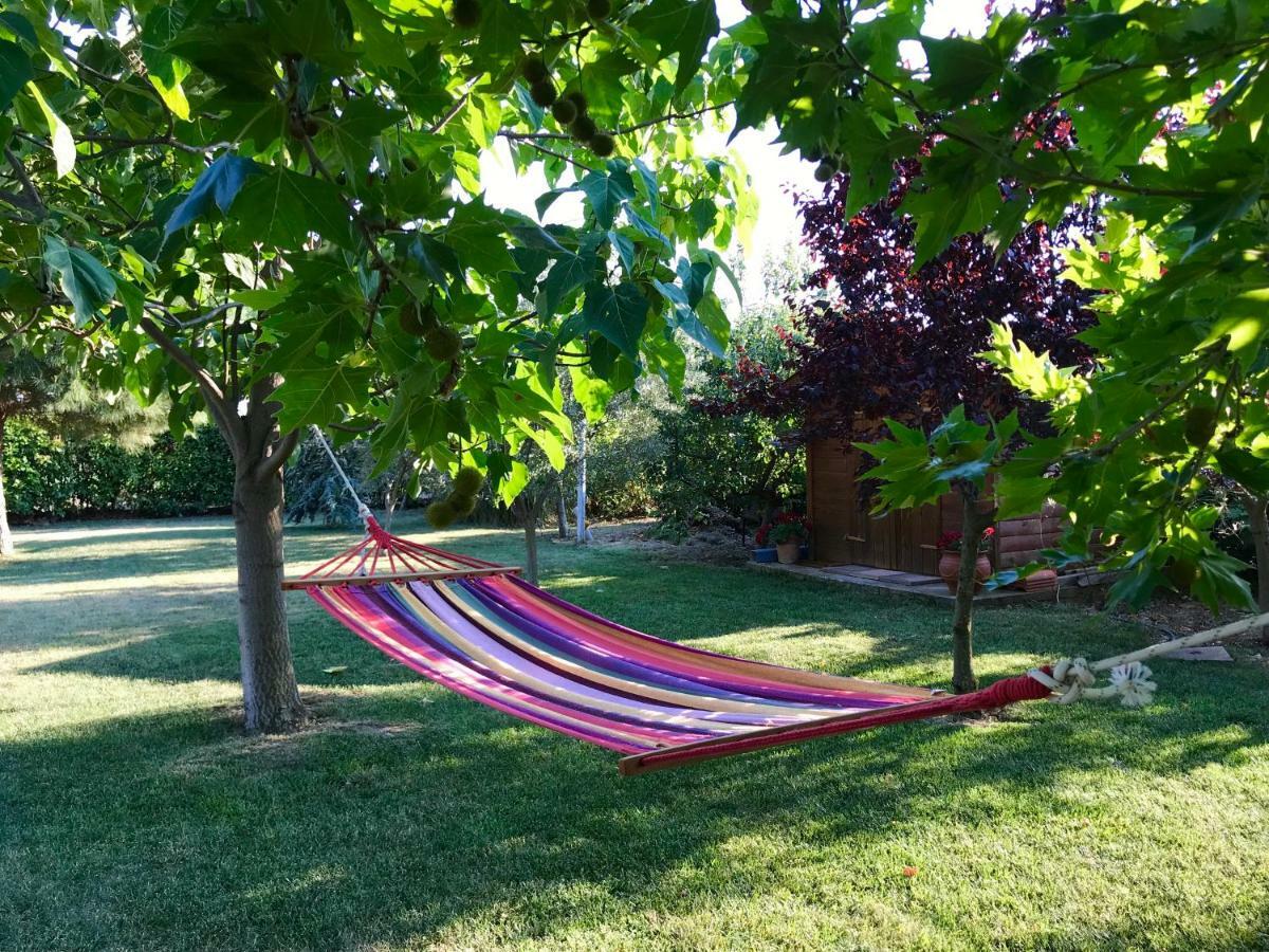 マクリPlane Tree Houseアパートメント エクステリア 写真
