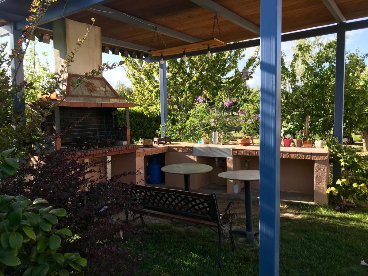 マクリPlane Tree Houseアパートメント エクステリア 写真